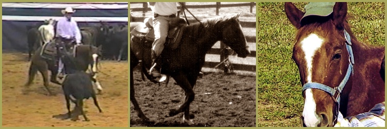 THUNDER BC:  2008 Magnolia Classic Futurity, Training Pen, Yearling