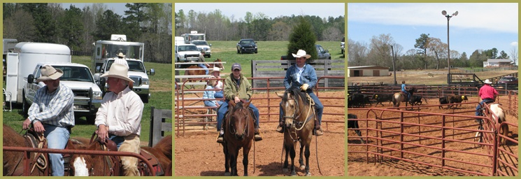 Ranch Sorting at Little Creek Quarter Horses