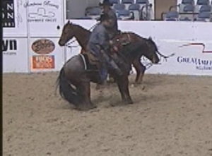 Speckles at 2009 NCHA Futurity